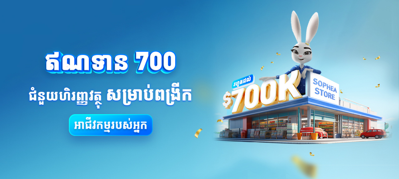 ឥណទាន 700