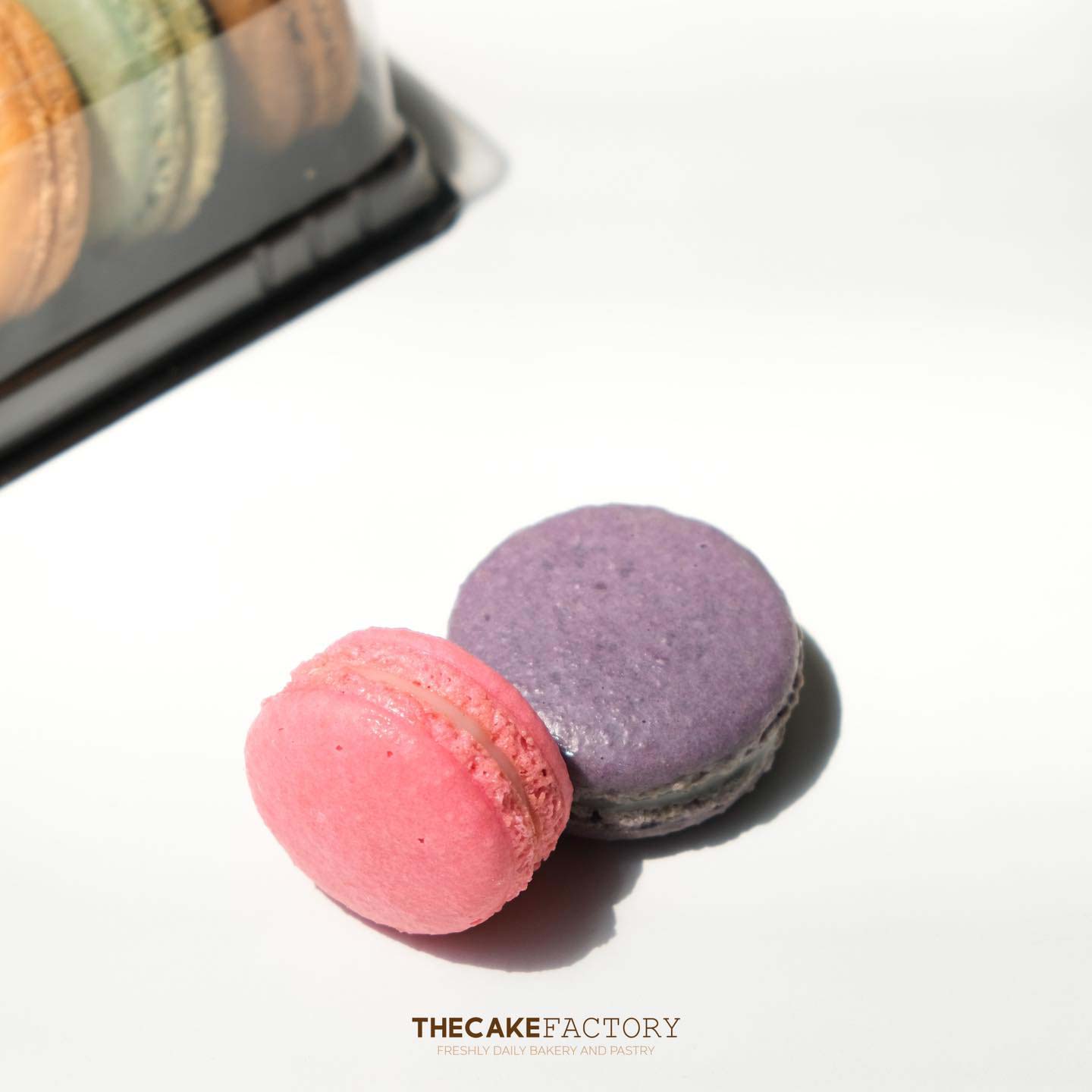 Macarons Muffin 5pcs