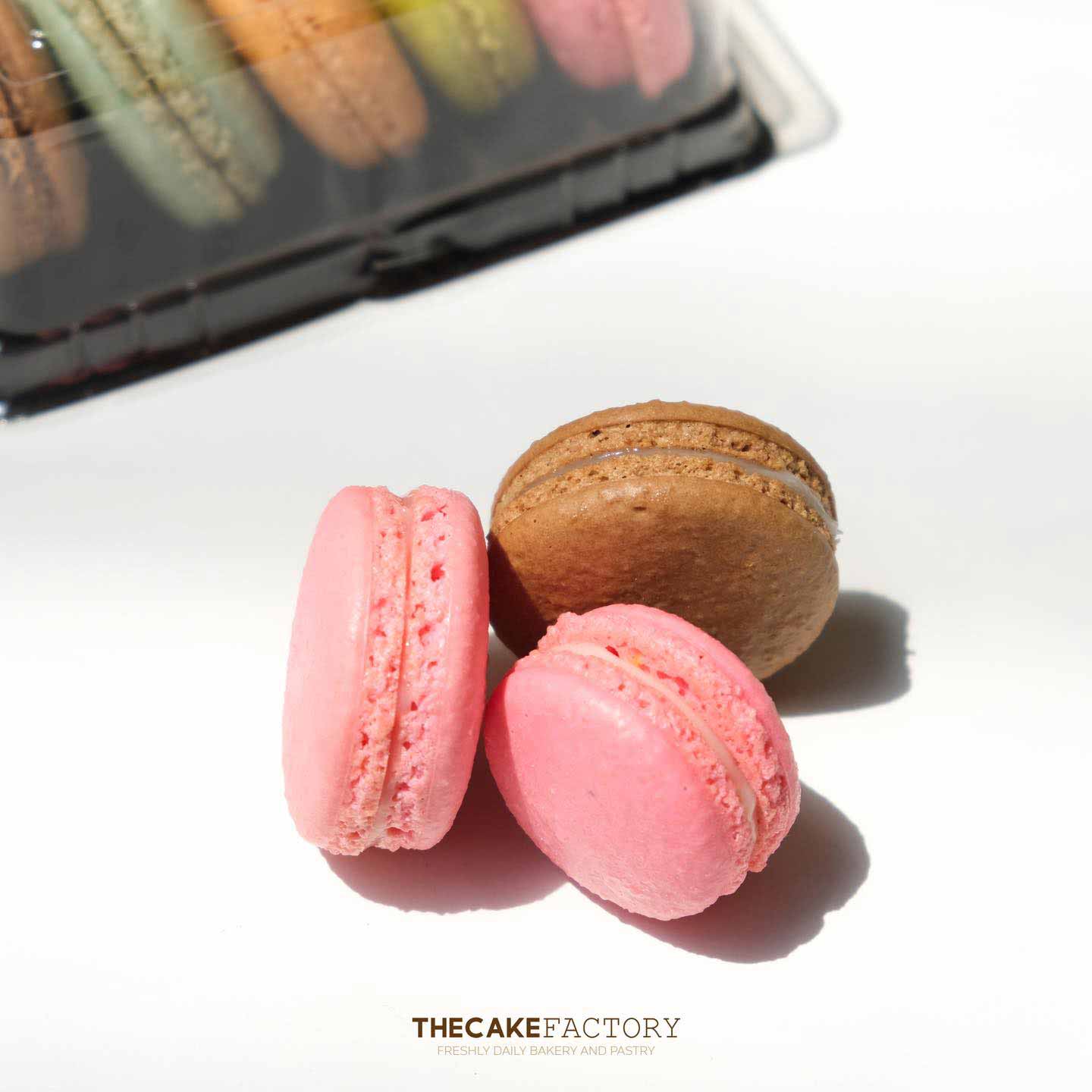 Mini Macarons Muffin 5pcs