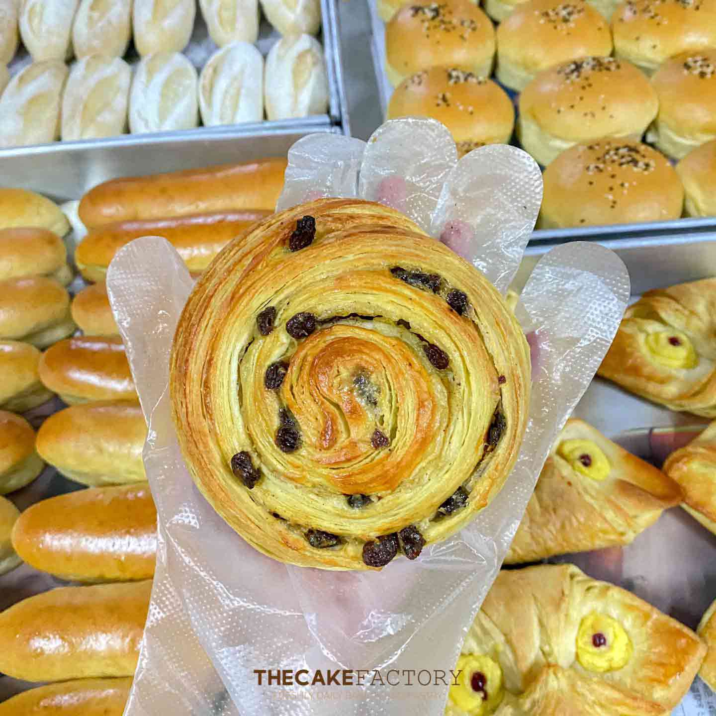 Raisin Roll/85g 1pcs