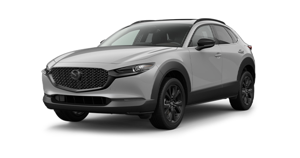 Image of Mazda CX-30 Retro Sport